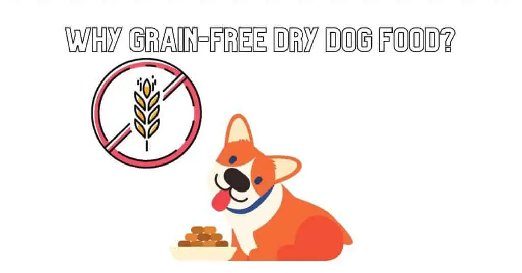 Why Grain-Free Dry Dog Food_