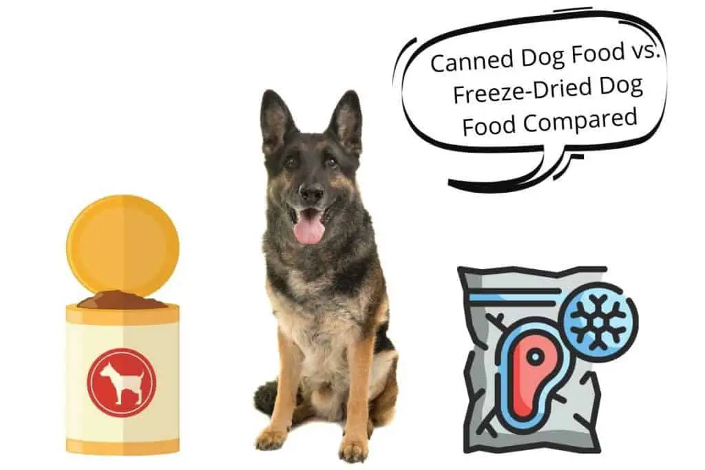 Dog with a speech bubble saying Canned Dog Food vs. Freeze-Dried Dog Food Compared