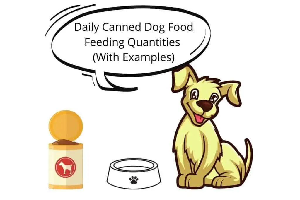 Dog with a speech-bubble saying Daily Canned Dog Food Feeding Quantities (With Examples)