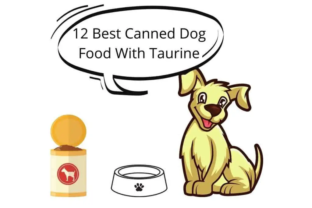 12 Best Canned Dog Food With Taurine