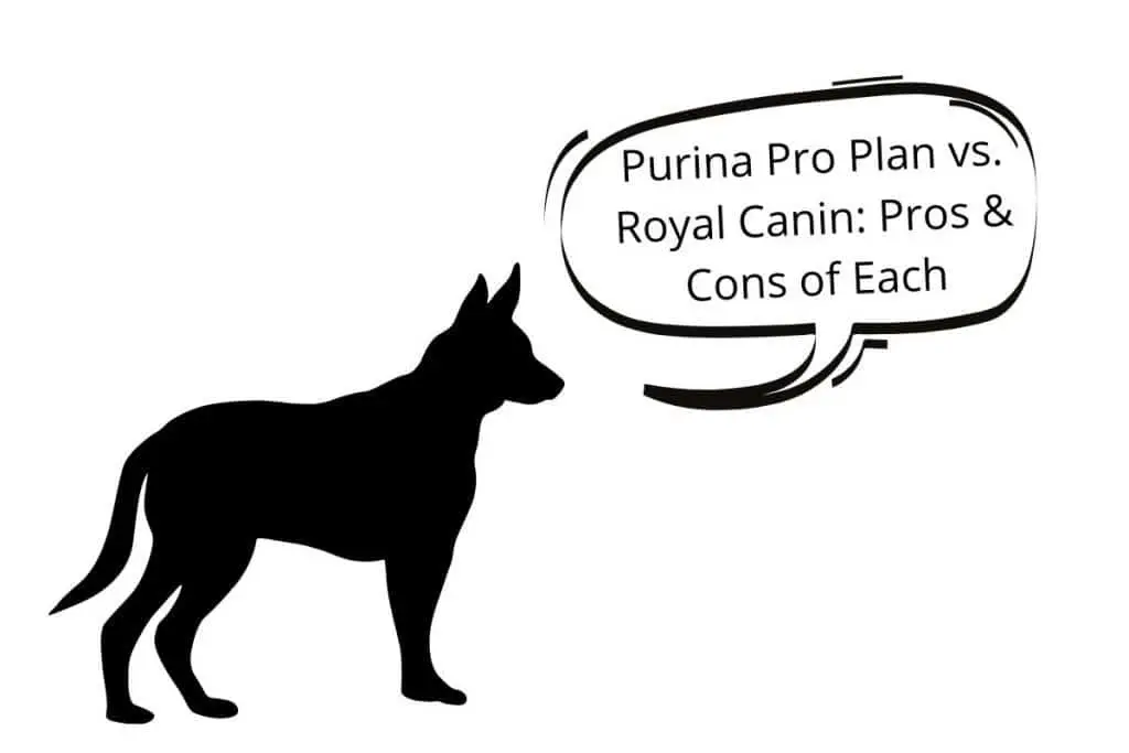purina vs royal canin
