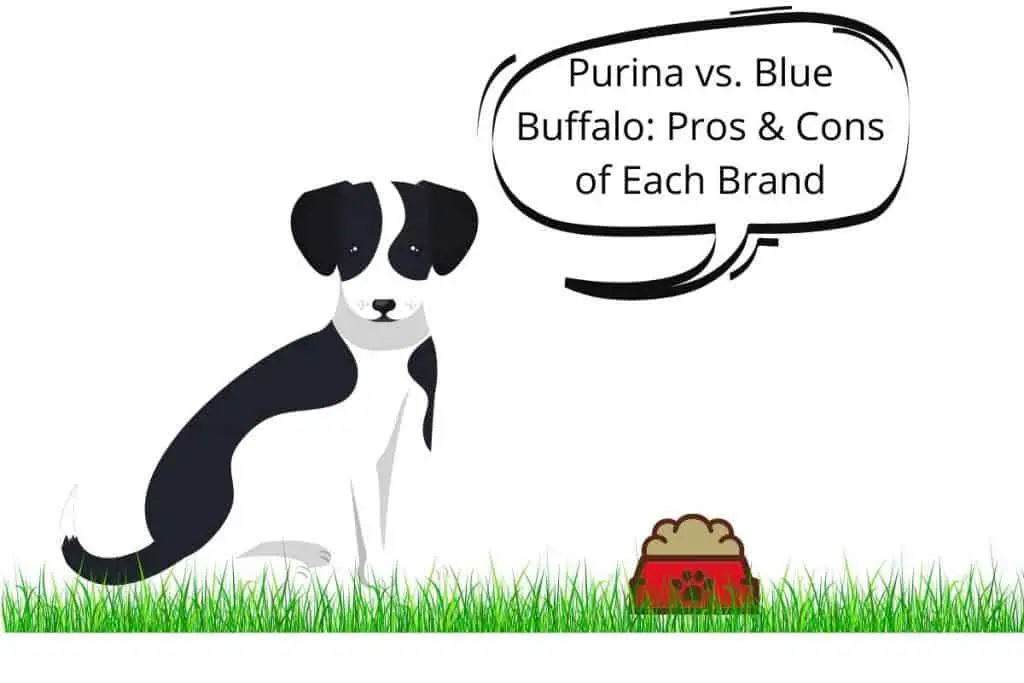 Dog and a speech bubble saying "Purina vs. Blue Buffalo Pros & Cons of Each Brand"