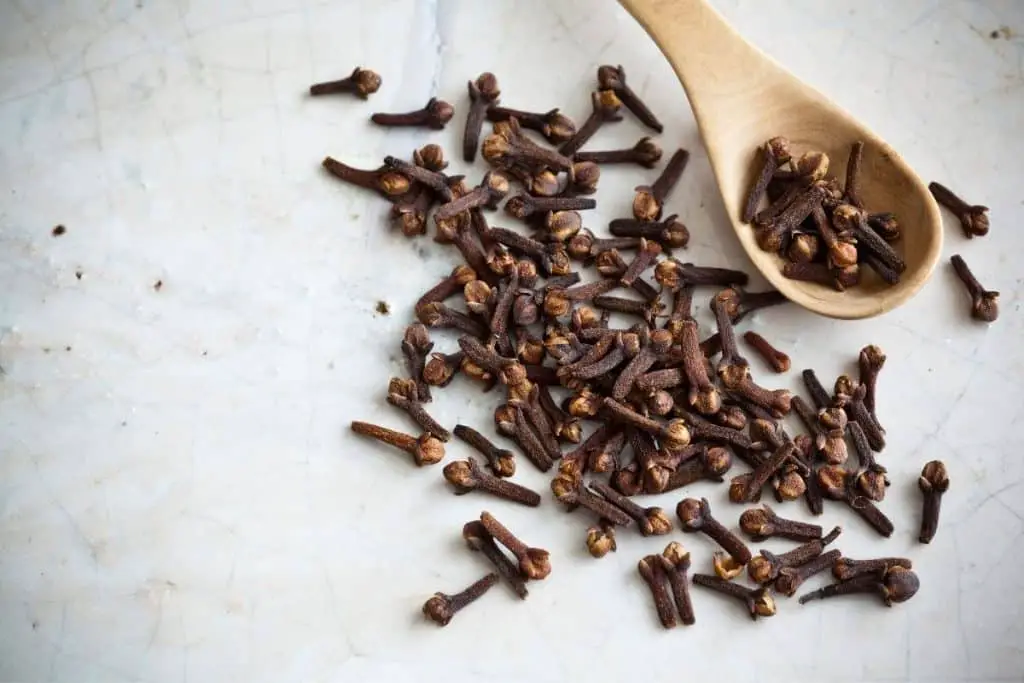 cloves on a wooden spoon