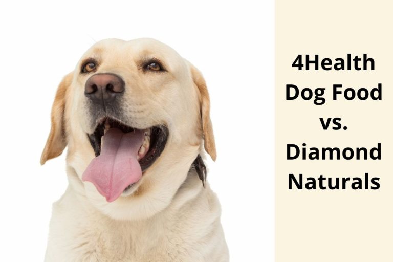 Kirkland Dog Food vs. Blue Buffalo Pros & Cons of Each Brand Mr Dog Food