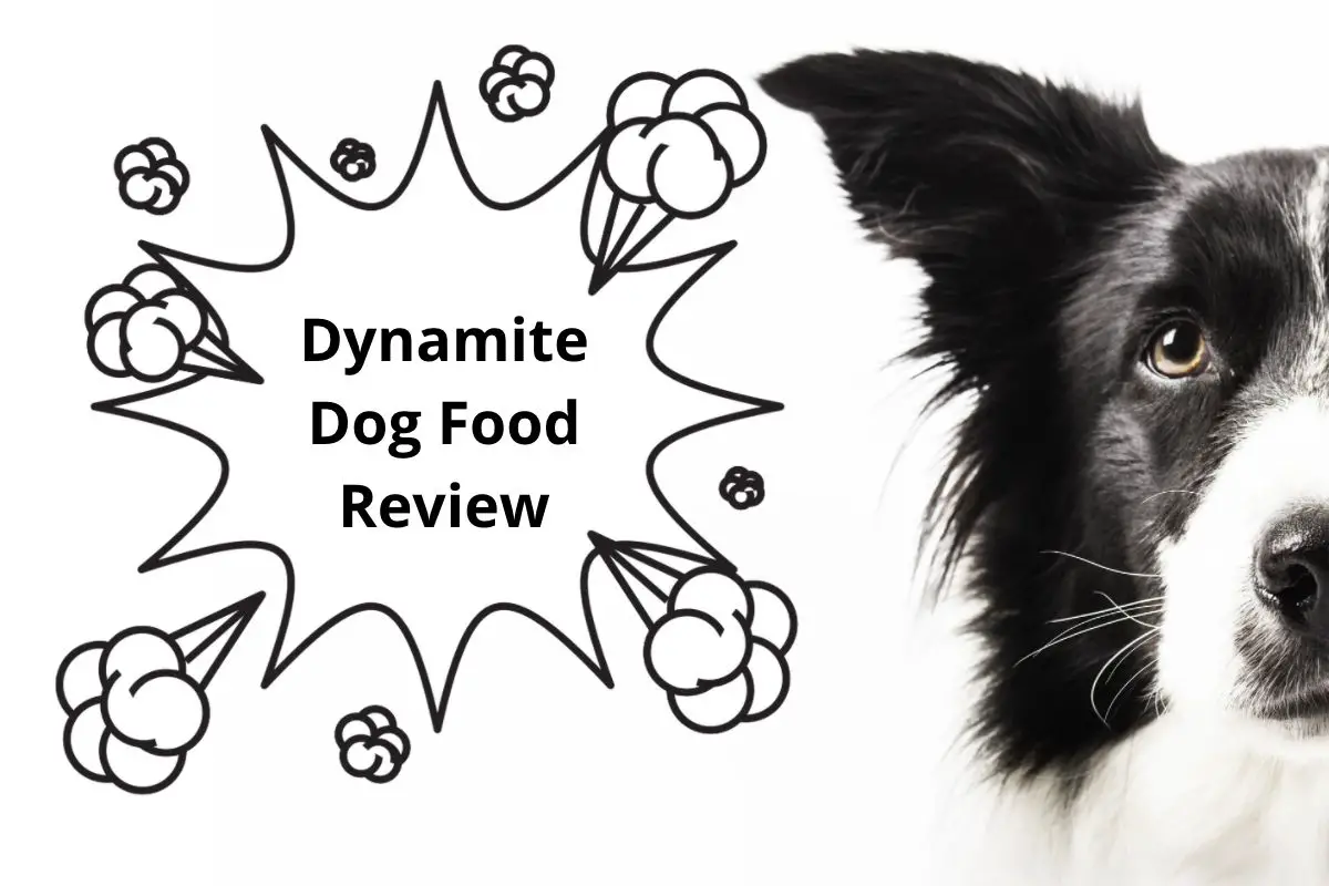 Dynamite Dog Food Review